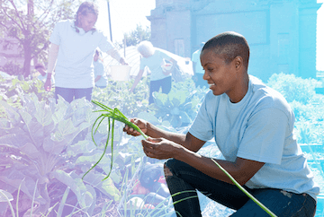 Person in a garden representing Global impact report of KLA